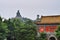 Big Buddah Po Lin Monastery