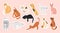 Big bundle of stickers with sleeping, funny, cute cats