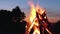 Big Burning Campfire at Summer Evening - Slow Motion