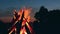 Big Burning Campfire at Summer Morning - Slow Motion
