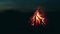 Big Burning Campfire at Summer Night - Slow Motion