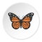 Big butterfly icon circle