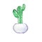 Big cactus house plant in white flowerpot. Watercolor.