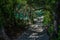 A big canyon with trees and rocks and reflections