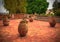 Big ceramic flowerpots on the ceramic floor, terrace