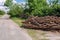 Big chaotic heap of pine wooden logs stocked near rural road at country village. Hardwood preparation and storage for future