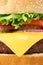 Big cheeseburger hamburger macro closeup