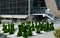 Big chessmen against the background of the building. Olympic village Roza Khutor