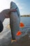 Big chub in fisherman\'s hand, beautiful red fins