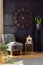 Big clock on the black wall, armchair, table and plant in a living room interior. Real photo