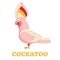 Big Cockatoo Line Art Icon
