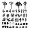 Big collection of black silhouettes of cacti, agaves, joshua tree, and prickly pear