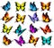 Big collection of colorful butterflies.