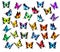 Big collection of colorful butterflies, flying in different directions.