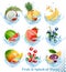Big collection of fruit in a water splash icons