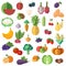 Big collection of premium quality fruits and vegetables in a flat style