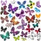 Big collection silhouette colorful butterflies