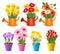 Big collection of spring and summer colorful flowers in pots.