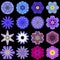 Big Collection of Various Blue Pattern Flowers Isolated on Black