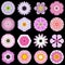 Big Collection of Various Pink Pattern Flowers Isolated on Black