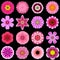 Big Collection of Various Purple Pattern Flowers Isolated on Black