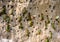 Big colony of the Bee-eaters in their burrows on a clay wall. Africa. Uganda.