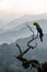 Big colourful parrot on a branch on hill background in Munnar