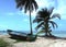 Big Corn Island Nicaragua fishing panga boat beach with palm coconut trees Caribbean Sea Central America