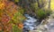 Big Cottonwood creek in Utah, surrounded with fall foliage