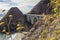 Big Creek Bridge on the Pacific highway in California, artistic photo with plants in the foreground