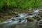 Big Creek Great Smoky Mountains