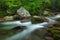 Big Creek Great Smoky Mountains