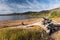 Big Creek Lake Shoreline, Routt National Forest Colorado