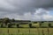 Big cumulus clouds above the meadows and fields of the Zuidplaspolder in the Netherlands.