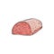 BIg cutted piece of pork meat image, vector illustration sketch style isolated.