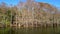 Big Cypress Bayou River at Caddo Lake State Park