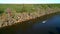 Big Cypress Bayou River at Caddo Lake State Park