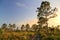 Big Cypress National Preserve