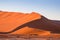 Big Daddy dune, Namib Desert, Sossusvlei at sunrise