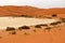 Big Daddy sand dune Sossusvlei - Namibia Africa