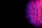 Big dandelion in pink-blue neon light. Abstract photo on a dark background. Element for graphic design.