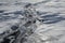 Big dangerous crack in the ice of frozen water
