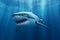 big dangerous shark in deep sea water