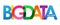 BIG DATA colorful overlapping letters banner