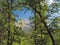 big deciduous and pine trees with view on corsician alpes mountain peak and blue sky background