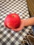 Big delicious red apple in a childs hand indoors over a checkered table cloth.