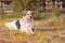 Big dog lying, flowers, houses on background