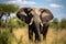 A big elephant bull in the savannah created with generative AI technology