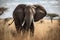 A big elephant bull in the savannah created with generative AI technology