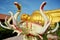 Big elephant statue in front of The Reclining Buddha gold statue